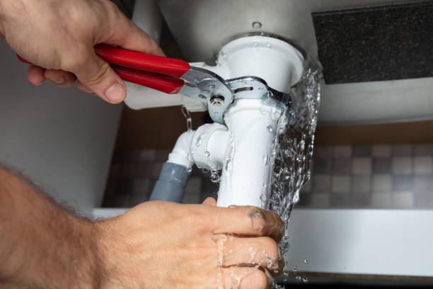 Best Mold removal after water damage  in Ladoga, IN