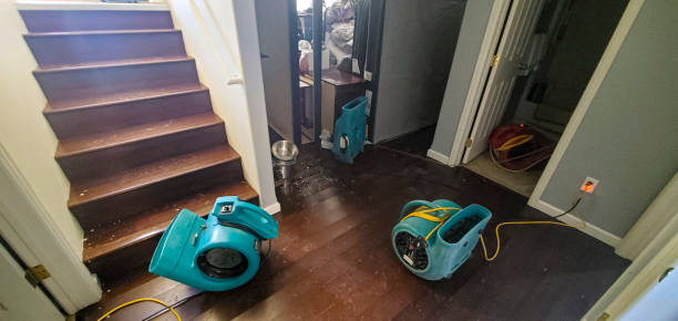 Best Water damage restoration cost  in Ladoga, IN