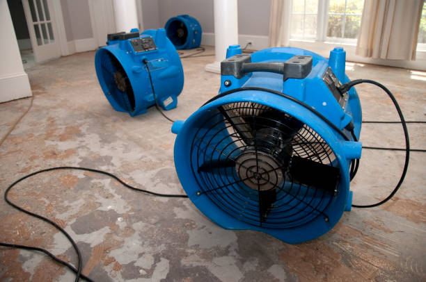 Best 24-hour water damage restoration  in Ladoga, IN