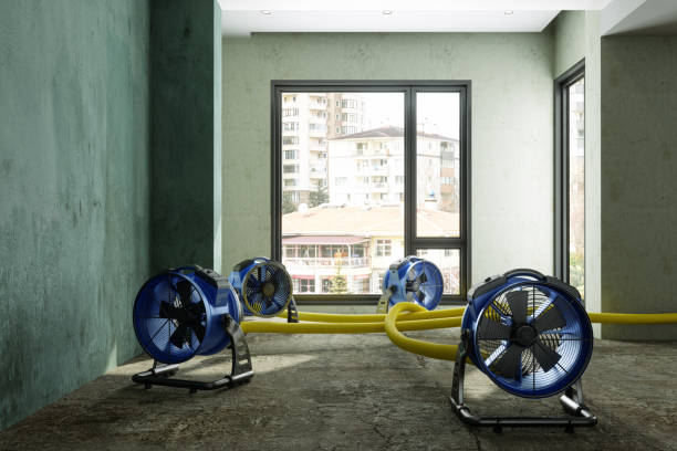 Best Water damage restoration insurance claims  in Ladoga, IN