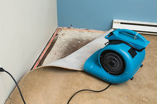 Best Water damage restoration process  in Ladoga, IN